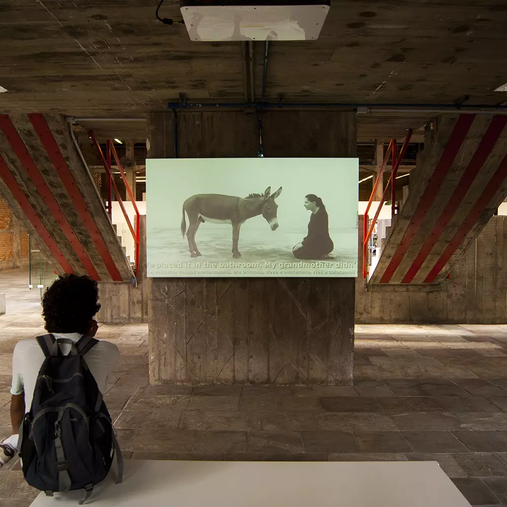 marina-abramovic-confession
