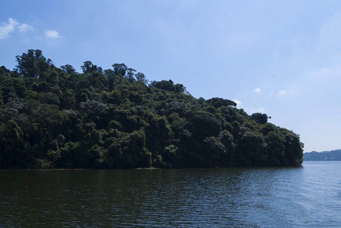 Passeio De Lancha Na Represa Natureza E Conforto Sem Sair Da Cidade